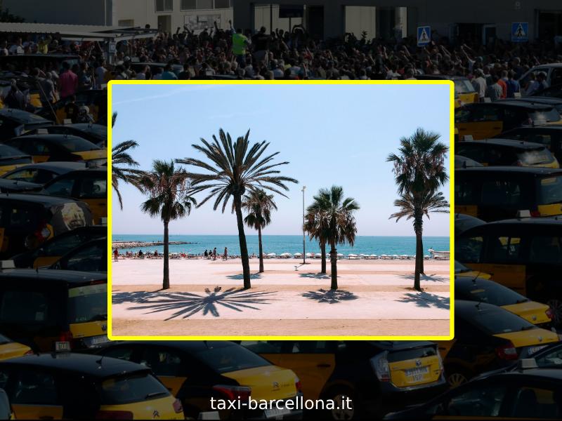 Alternative al taxi