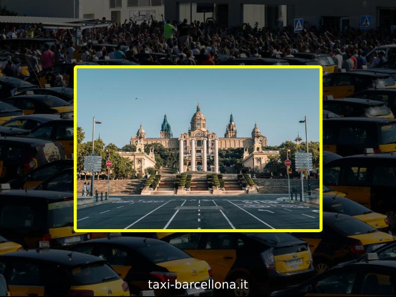 Modi alternativi per ordinare un taxi
