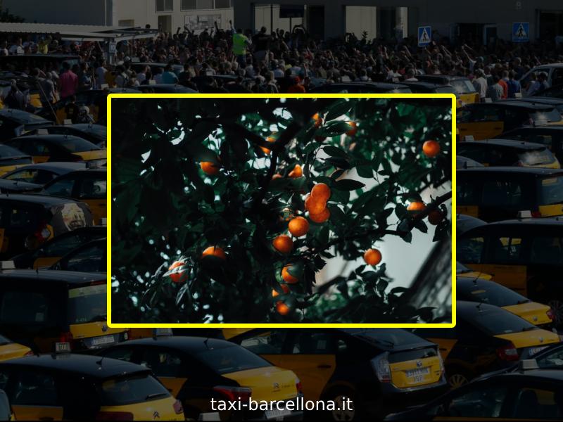 Processo di salita sul taxi in aeroporto